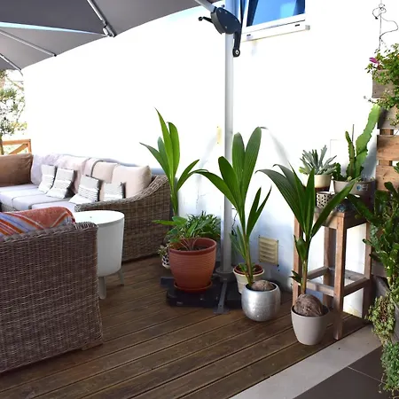 Villa Casa Da Vitoria Falca